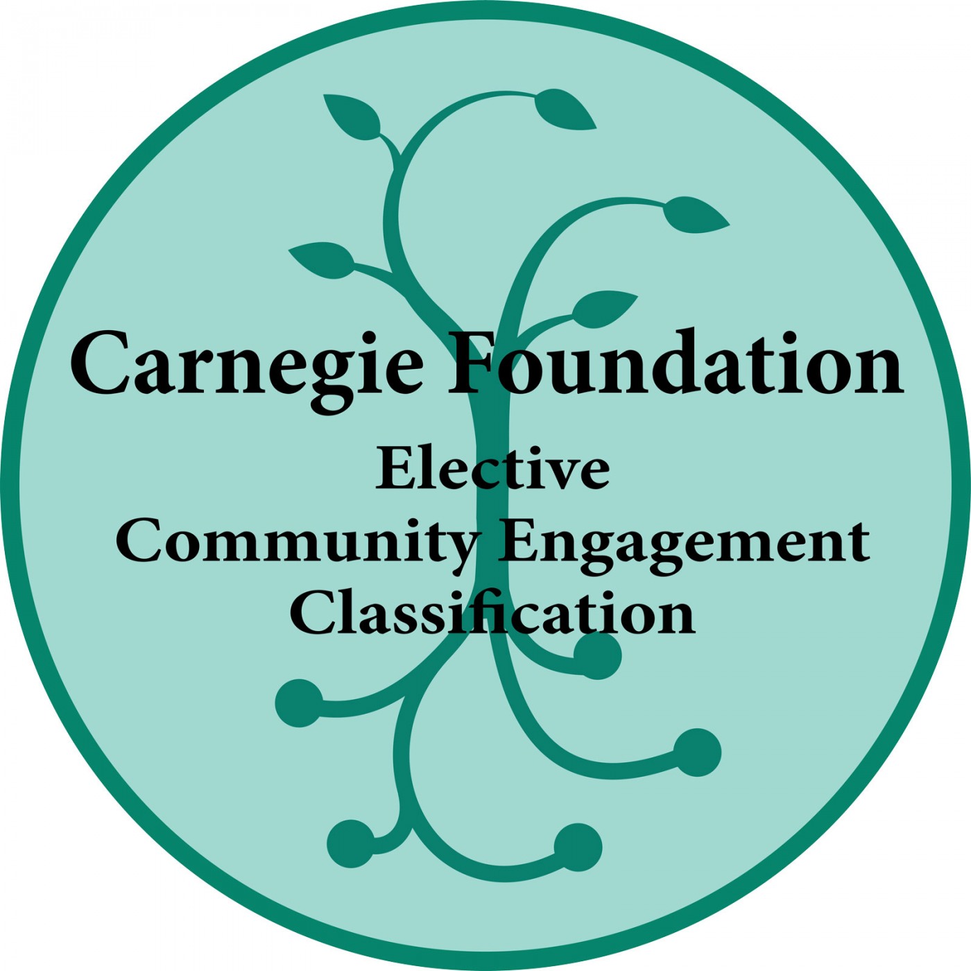 2020 Carnegie Community Engagement Classification Recipient